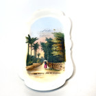 Vintage The Royal Palms Bermuda Islands Souvenir Luster Porcelain Dish Trinket