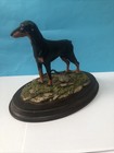 Doberman Dog - On Mahogany Base Lovely Condition