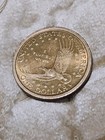 2000 P Sacagawea Golden One Dollar Coin Ddr On Lettering Wounded Head  Nose Ob 