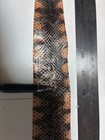 Red Belly Mud Snake 36    X 2    Air Dried