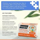 Asepso Antibacterial Soap Bar  Fresh Scent  4pk X 80g 2 8oz   Usa Fda Registered