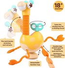 Baby Toys Infant Rattle Sensory Teether Early Development Newborn Birthday Gifts