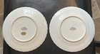 Set Of 2 Vintage Cake Plate Grand Berry  Art Plates Japan Floral Blossom