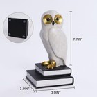 Owl Decorative Bookends - Unique Bronze Bird Book Holders For Kids   Office Deco