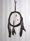 Native American Grapevine Dream Catcher  11  X 11   Turquoise  Coral Coa  dc11