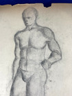 C 1950 Musculature Male Charcoal Sketch  Drawing 24  X 18 5  Unsigned