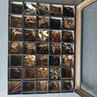 Apothecary Herbal Medicine 1900s Vintage Specimen Display Science Oddity Medical