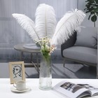 10 Pcs 34-inch Extra Large White Ostrich Feathers For Tall Vase Decoration