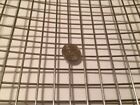 Quality Stainless Steel 304 Mesh  2  063 Stainless Steel Welded Wire 6  X 12 