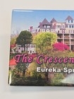 Eureka Springs Arkansas Travel Souvenir Fridge Magnet The Crescent Hotel