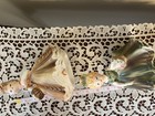 Vtg Lady Planter Set Of 2 Porcelain Victorian Girl With Basket Planters  6 5 In
