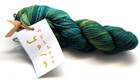 Single Skein Sundara Fingering 100  Handdyed Sw Merino 350 Yd 100 Gm