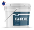 Washing Soda 1 Gallon Ash Sodium Carbonate Laundry Booster Earthborn Elements