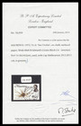 Mauritius Qeii 1965-75 Errors   Varieties - Unlisted Used  Ex Dunlop Collection 