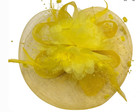 Yellow Fascinator Hat Hair Clip Floral Mesh Feather Pearl Tea Party Church Derby