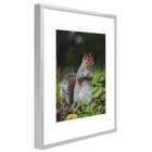 Golden State Art 12x16 Picture Frame 3 Pack - Aluminum Frames With 8 5x11 Remova