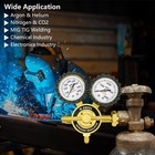 Professional Nitrogen Regulator W  Hose 0-800 Psi Output Pressure Cga580 Inlet