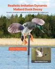 Spinning Wing Motion Duck Decoy Outdoor Realistic Teal Decoys For Hunting