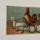Clarks Mile-end Spool Cotton Victorian Trade Card Duck Rooster On Carriage