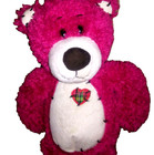 First   Main Tender Teddy Bear 11in Burgundy Red Fuzzy Plush Lovey  1415
