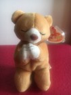 Lot Of 5 Beany Baby Ty The Beanie Babies Collectible Toy Retired Errors