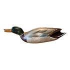 Ducks Unlimited Robert Capriola Limited Edition Signed Wood Duck Decoy  1918