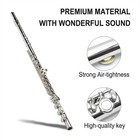 New 17 Key Flute Closed Hole C Key Professional Nickel Siver Flutes For Beginner