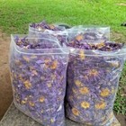 Dried Blue Lotus Flower  nymphaea Caeruleaz 100  Organic Herbal Pure 1kg
