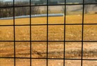 3  X 100  14 Gauge Galvanized Steel Black Pvc Coated Welded Wire 2   X 2   Mesh