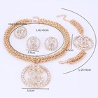 Men Women Hip Hop Big Dollar Crystal Necklace Earring Bracelet Ring Charm Set