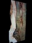 Xl Insanely Curly Ambrosia Maple Burl Blank  Curly Maple  Epoxy Wood  Live Edge 