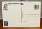  greetings From South Carolina  37 Cent Usps 4x6  Postcard