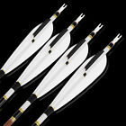 12x 31  Pure Carbon Arrows 5  Feather Sp340 400 500 600 Archery Bow Hunting