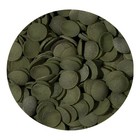 8 8oz Hikari Algae Wafers Tropical Catfish   Plecos Sinking Wafer Disc Fish Food