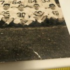 Vintage Original 1949 Yale Bulldogs Freshmen Football Team Photo Big  3  Champs