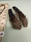 Germaines Peacock Pheasant  Eye Feathers  3 Pair   56