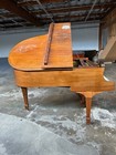 Steinway M Grand Piano 5 7  Satin Walnut