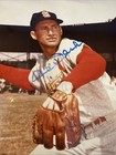 Al Alvin Dark Signed Autographed St  Louis Cardinals 8x10 Color Photo
