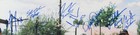  the Sandlot  Multi-signed auto By 8 Players 16x20 Photo Framed Jsa 191904