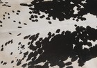 New Cowhide Rugs Area Cow Skin Leather 21 38 Sq feet  57 x54   Cow Hide U-1088