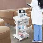 3 Tiers Mobile Storage Cart Beauty Salon Trolley Cart Abs Work Trolley 2 Drawers