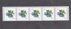 Pnc5 4c Blueberries B1111us 5653 With 5 Digit Double Bn Mnh