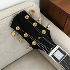 6-strings Sunburst Byrdland Hollow Electric Guitars 2h Pickups Gold Hardware Zw