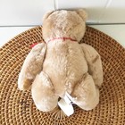 Charm Co 1985 Light Teddy Bear Plush Collectible Stuffed Animal  vintage New