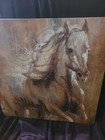 Portfolio Canvas Decor Boundless Beauty Horse Painting 