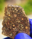 Nwa 14405 Meteorite 8 635g Slice L3 2 Primitive Chondrite Coa Rare