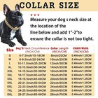 Pet Dog Cat Metal Gold Chain Diamond Cuban Collar Link Luxury Necklace Bling Usa