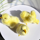 Pack Of 3 Realistic Yellow Baby Duck Figurines - Lifelike Plush Ducklings  Sprin