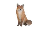 Life Like Fox Sitting Garden Statue Decoration Home Animal Sculpture Wildlife