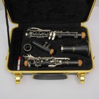 Selmer Cl301 Student Model Clarinet W  Hard Case